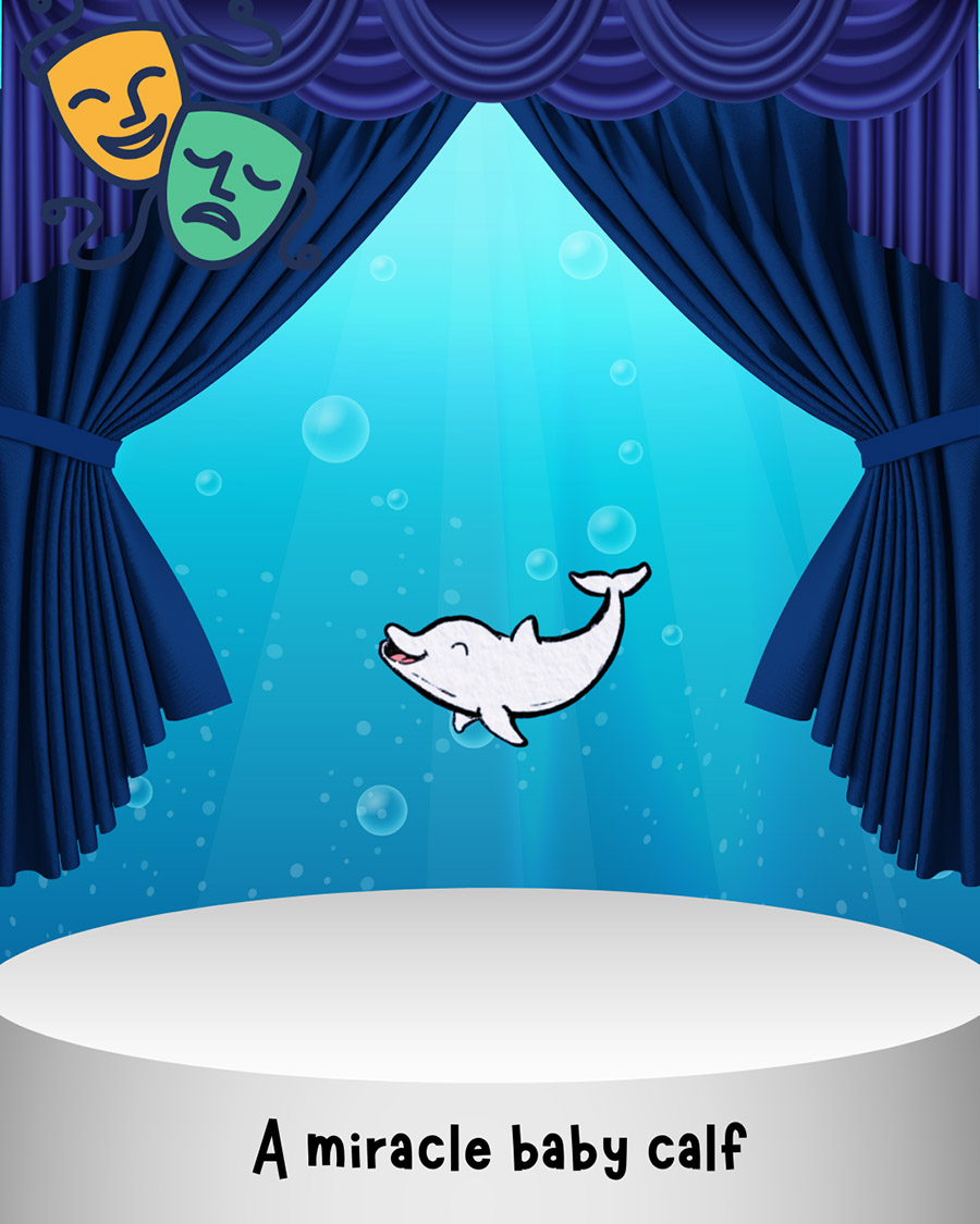 Voyage With Us and Meet Interesting Characters - 6